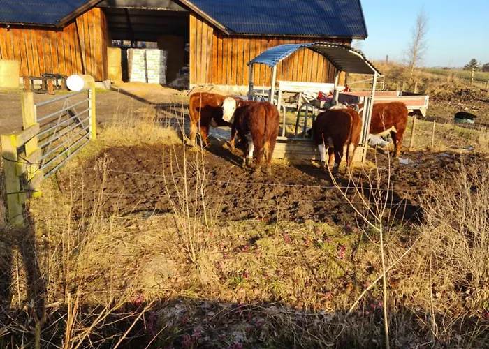 Tiny House I Naerheden Af Egeskov Slot 아파트